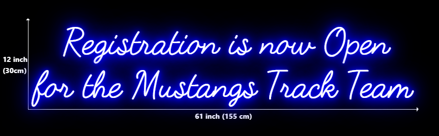 Click to view full size Custom Neon for Avalon Collins Business Neons
