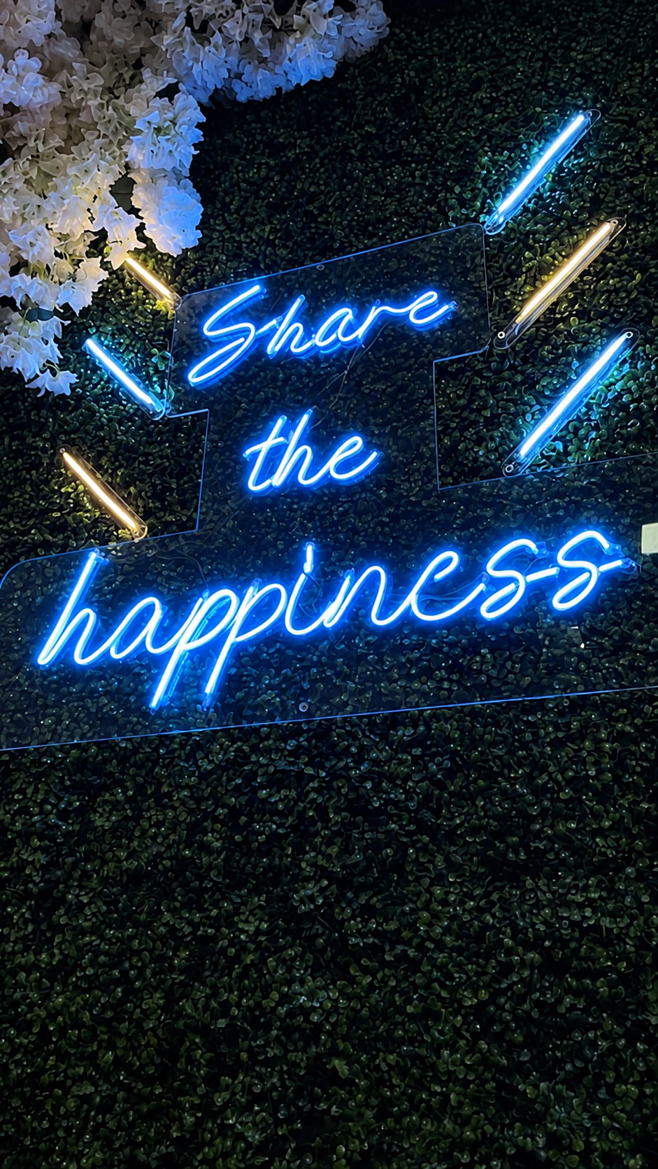 Click to view full size Custom Sign For Sebastian Williams Business Neons