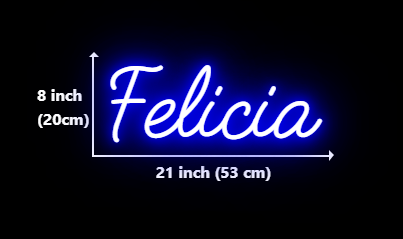 Click to view full size Custom Neon for Richard Torres Business Neons