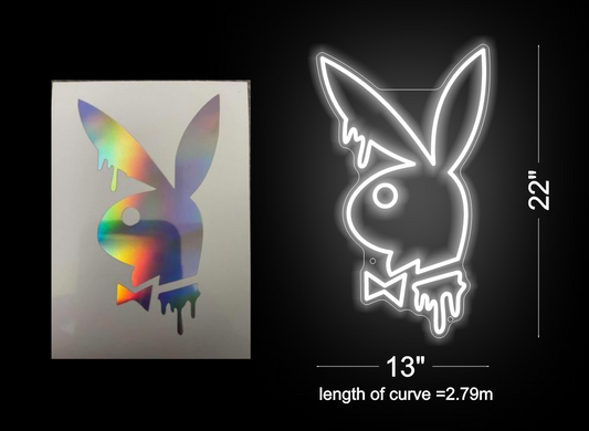 Custom Neon for Stacy Hackett Business Neons