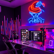 Anime LED Neon Wall Art for Gaming Room Business Neons