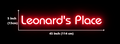 Custom Neon for Leonard Stewart Business Neons